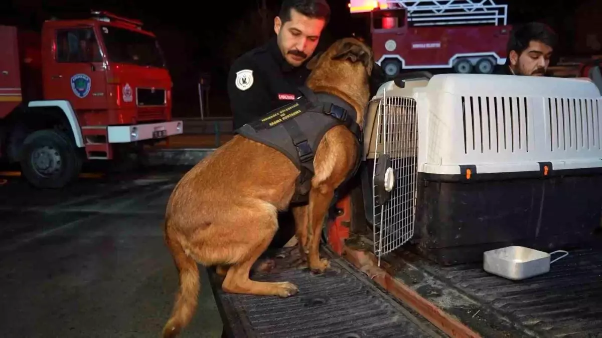 Kırıkkale’den Konya’ya K9 Köpekleriyle Kurtarma Desteği