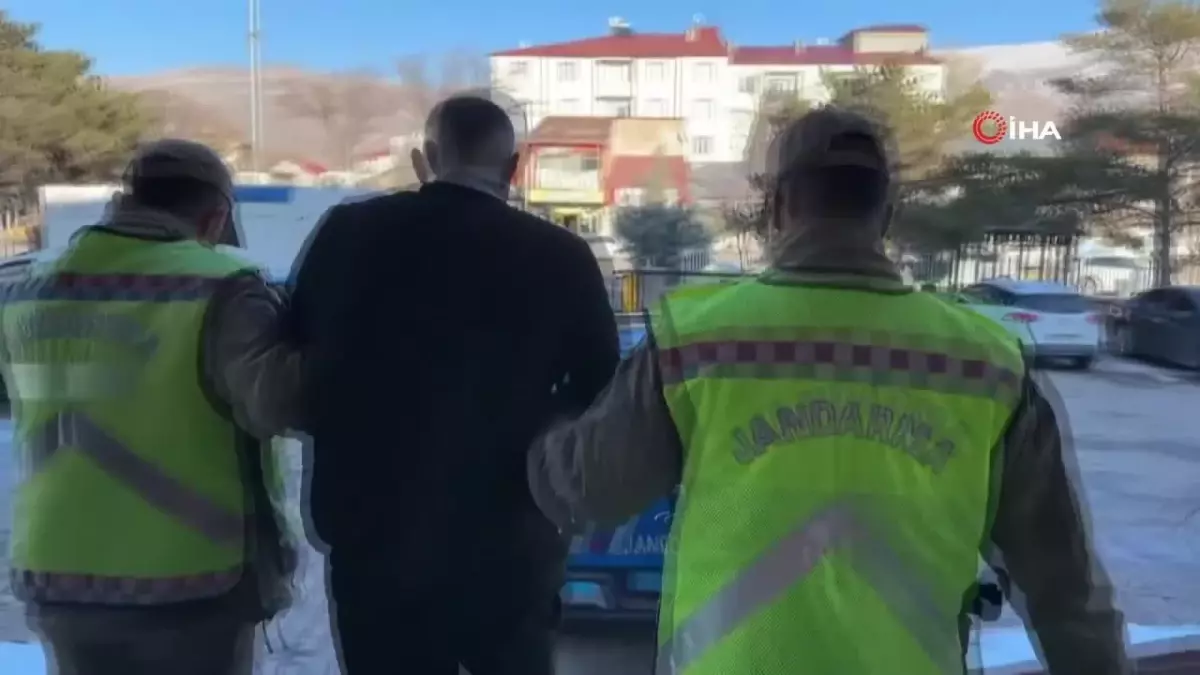 Van’da 7 Düzensiz Göçmen Yakalandı